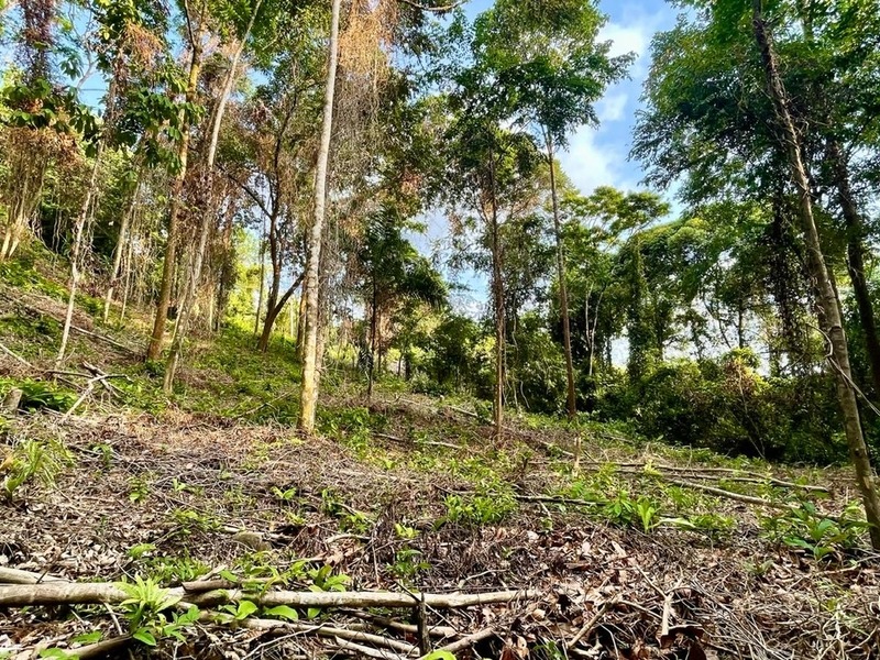 0 bed Lot/Land For Sale in ,  - 1